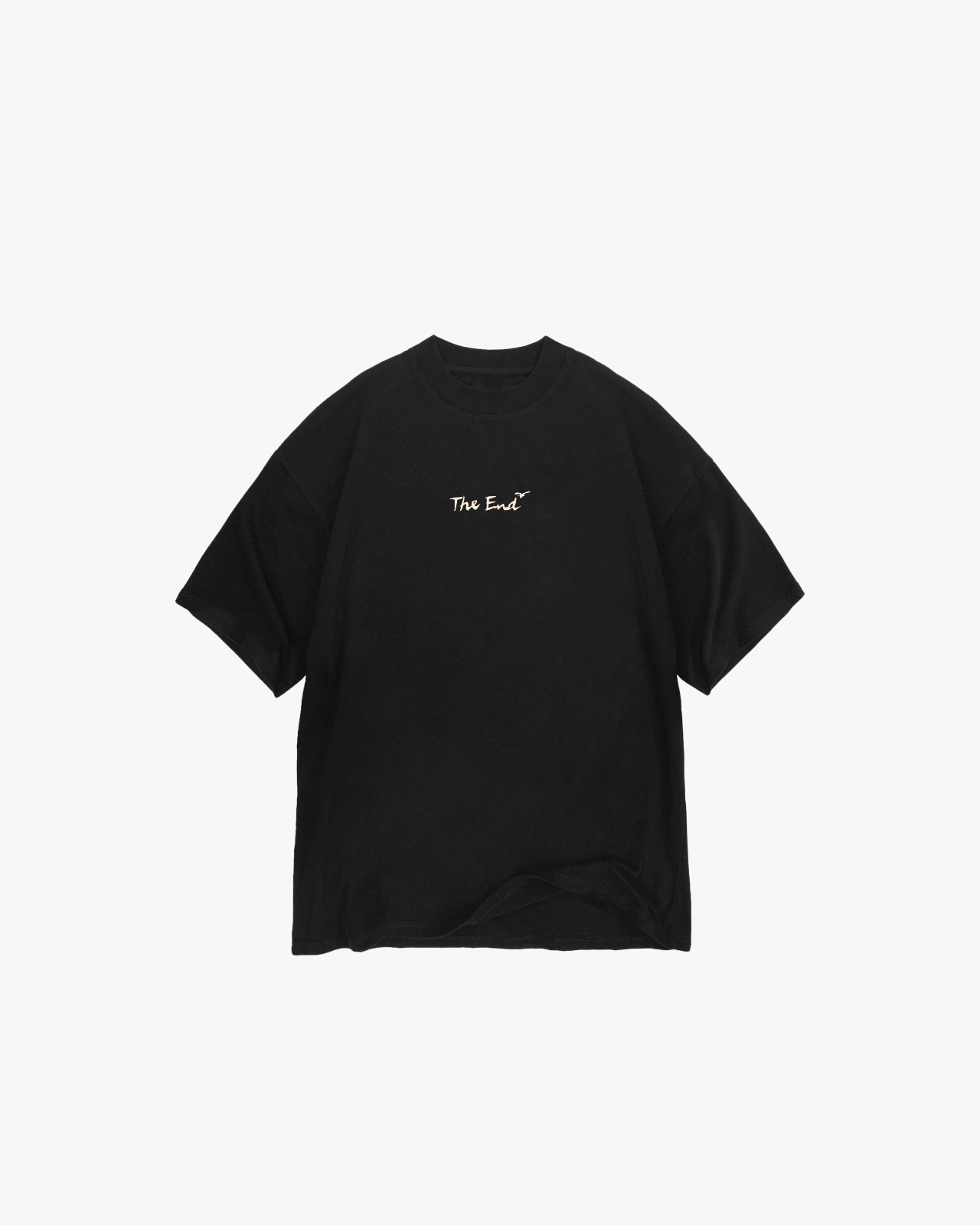 AOT OVERSIZED TEE